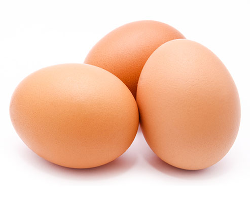 Farm Fresh Free-Range Brown Eggs and Goose Eggs